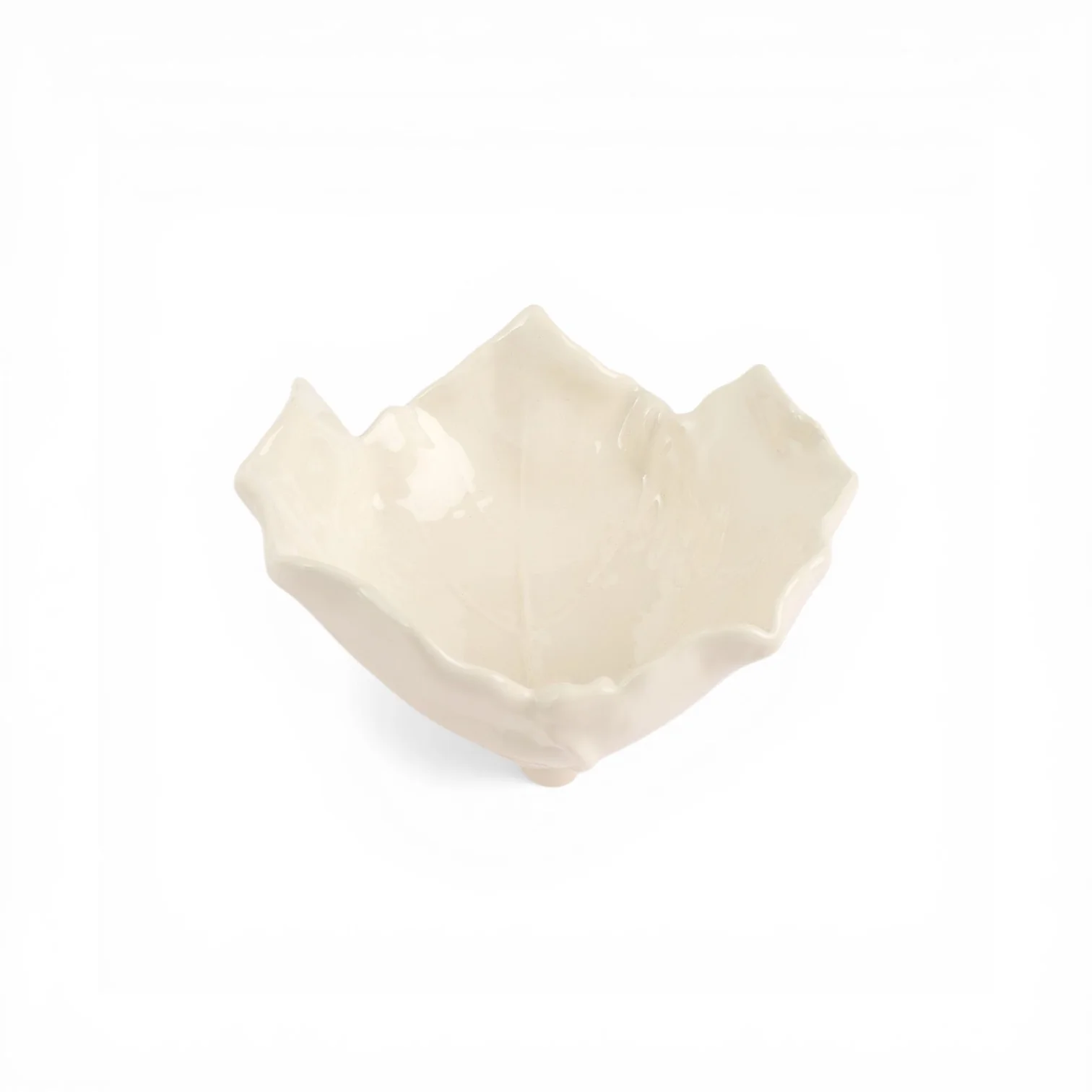 תמונה ממוזערת 1